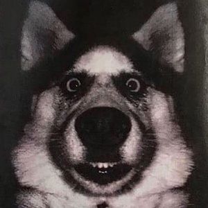 Meet your Posher, Gerardo